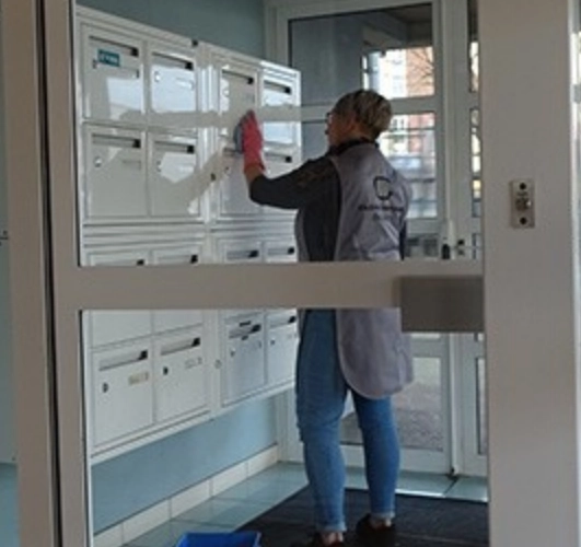 Schoonmaak van gemeenschappelijke ruimtes van gebouwen in Alost 9300